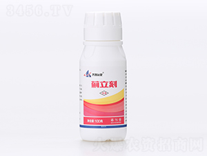 薊立刻-齊魯遠見-有機化工廠