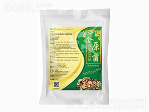 å¦‚é‡‘æ ¹è…ç—…å°ˆç”¨-ç¶ æ´²ç”Ÿç‰©