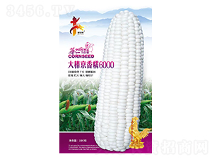 Ŵ6000-׷N-AһNI