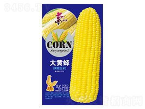 S䣨SŴף-׷N-AһNI