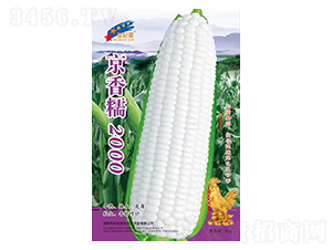Ŵ2000-׷N-AһNI