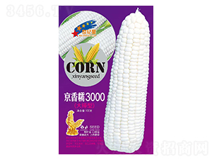 Ŵ3000ͣ-׷N-AһNI