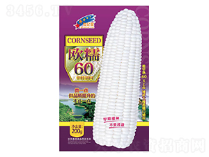 WŴ60-׷N-AһNI