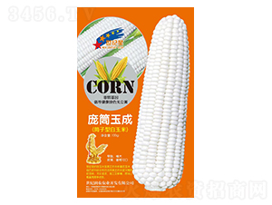 ͲɣͲͰף-׷N-AһNI