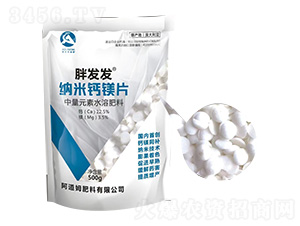 胖發發納米鈣鎂片-阿道姆