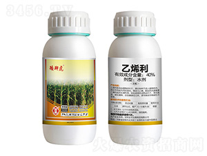 40%ä¹™çƒ¯åˆ©-çŸ®è…³è™Ž-å…¨è±
