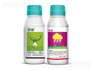 頂細+犽落-聚幫