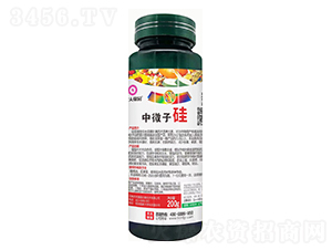 ƿb΢ӹ-rڈ@