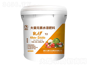 凱伊T2大量元素水溶肥-安隆生態