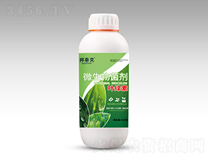 葉綠素微生物菌劑-邦泰克-際華農業