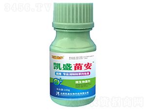 Pʢ簲I݄Σ-̽·h-Pʢ