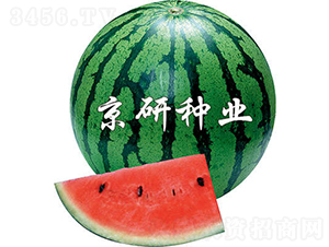 2̖-ϷN-зNI