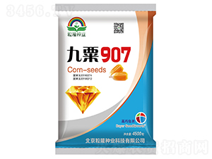 九粟907-玉米種子-粒粒隆