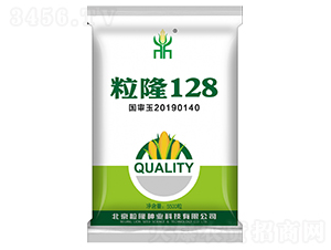 粒隆128-玉米種子-粒粒隆