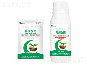 植物疫苗中量元素水溶肥料-惠利億農
