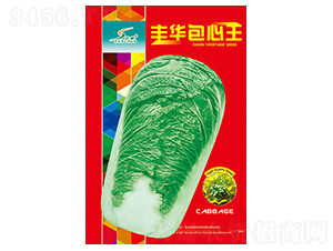 豐華包心王-白菜種子-豐華種業