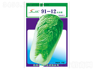 91-12ײ-ײ˷N-SANI