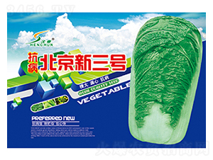 抗病北京新三號-白菜種子-豐華種業