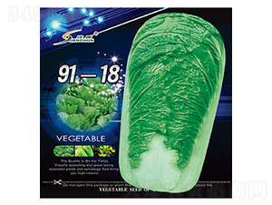 91-18-白菜種子-豐華種業