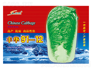 豐華91-12-白菜種子-豐華種業