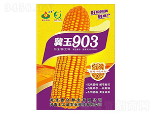 ׷N-903-֮ƷrI