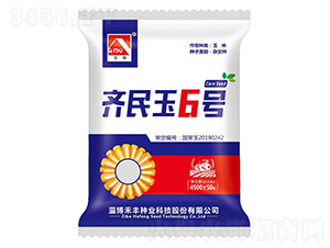 玉米種子-齊民玉6號-齊都-上之品農業
