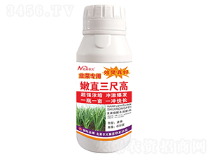 韭菜專用嫩直三尺高-北美農大