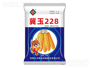 玉米種子-冀玉228-研創種業