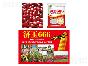 玉米種子-濟玉666-研創種業