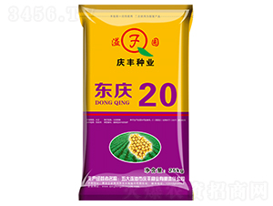 東慶20-大豆種子-慶豐種業