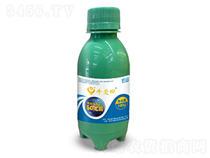 ţ100g-