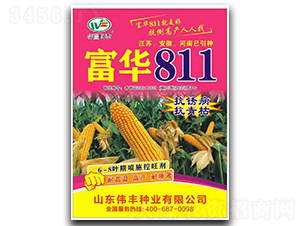 A811-׷N-SNI