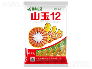 山玉12-玉米種子-甘肅農墾