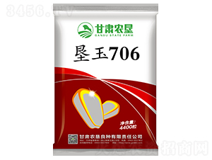 墾玉706-玉米種子-甘肅農墾