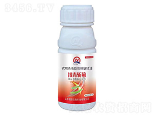 農用殺蟲助劑樟腦精油-披青斬薊-強農