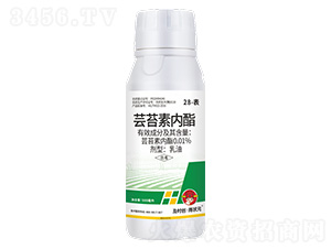 28--|̦؃500ml-rԪ-r