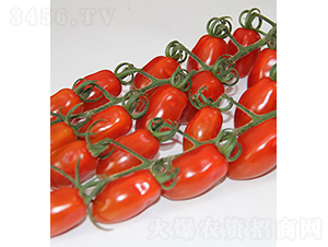 r148-СѷN-rrI