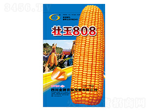 ׷N-808-rI