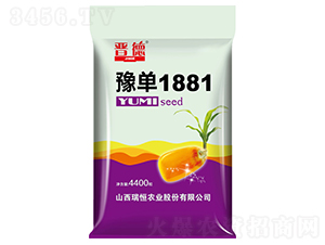 豫單1881玉米種子-晉德-瑞恒農業