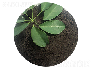 粉狀有機肥料-喜羊羊生物