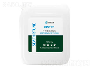 海阜有機作物能量補充站-海阜農(nóng)業(yè)