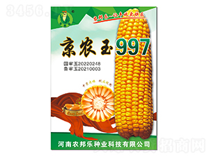 京農玉997玉米種子-農邦樂