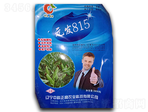 元發815（3800粒）-玉米種子-中科正高