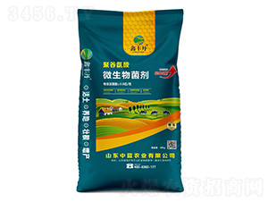 聚谷氨酸微生物菌劑-鑫豐丹-中藍農業