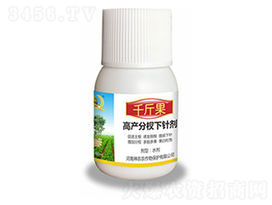 花生分杈劑-千斤果-河南神農