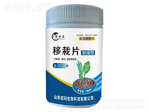 移栽片（白粉虱、薊馬、蚜蟲有效）-博合樂-冠瑪生物