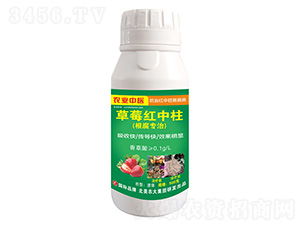 草莓紅中柱-北美農大