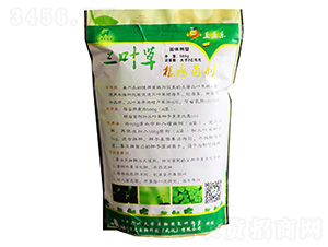 500g~ݸw-A(chung)r