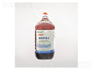 高效控藻王（光合菌）-河順寶-港鹽農循環