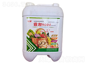 鼎加9000菌藻復合制劑-鼎加